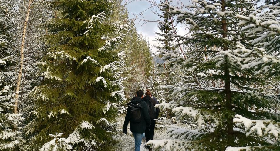 Wandeling in de omgeving